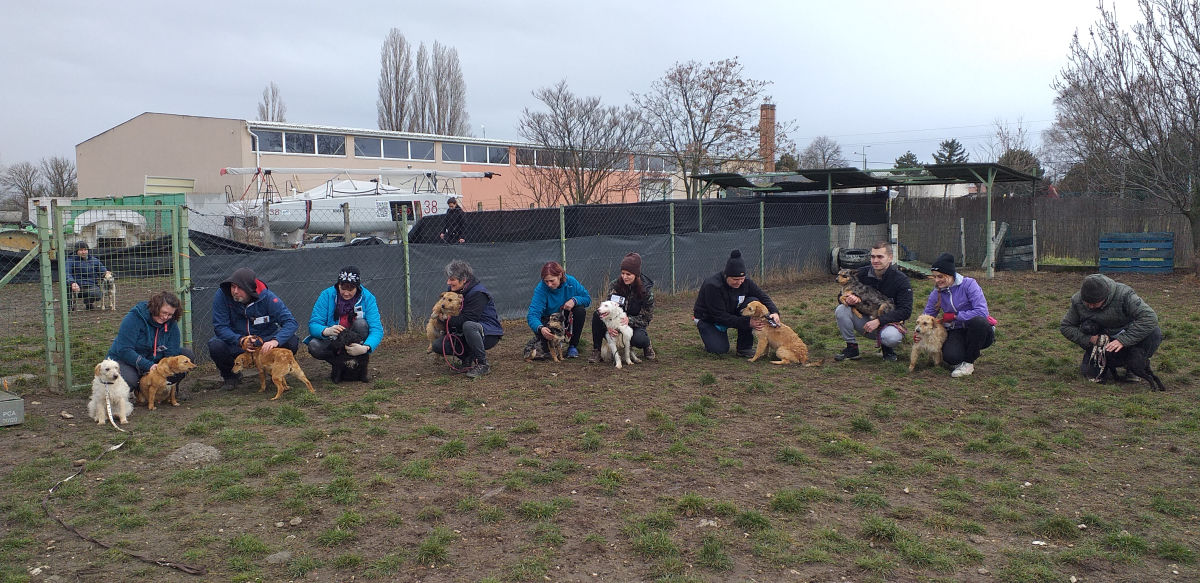 A bizalom tanítható! – súlyosan elhanyagolt kutyáknak indított rehabilitációt a HEROSZ